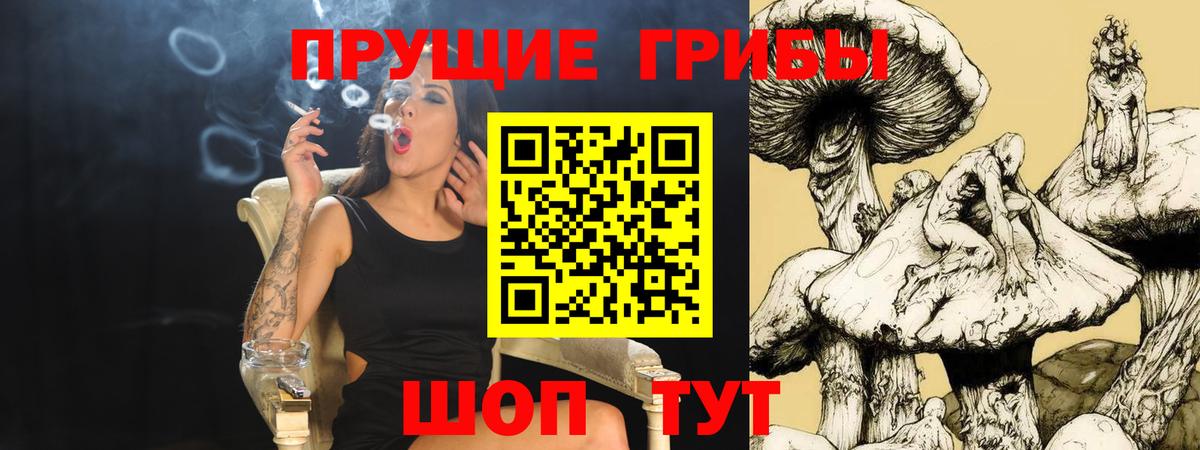 ГАШ Нальчик